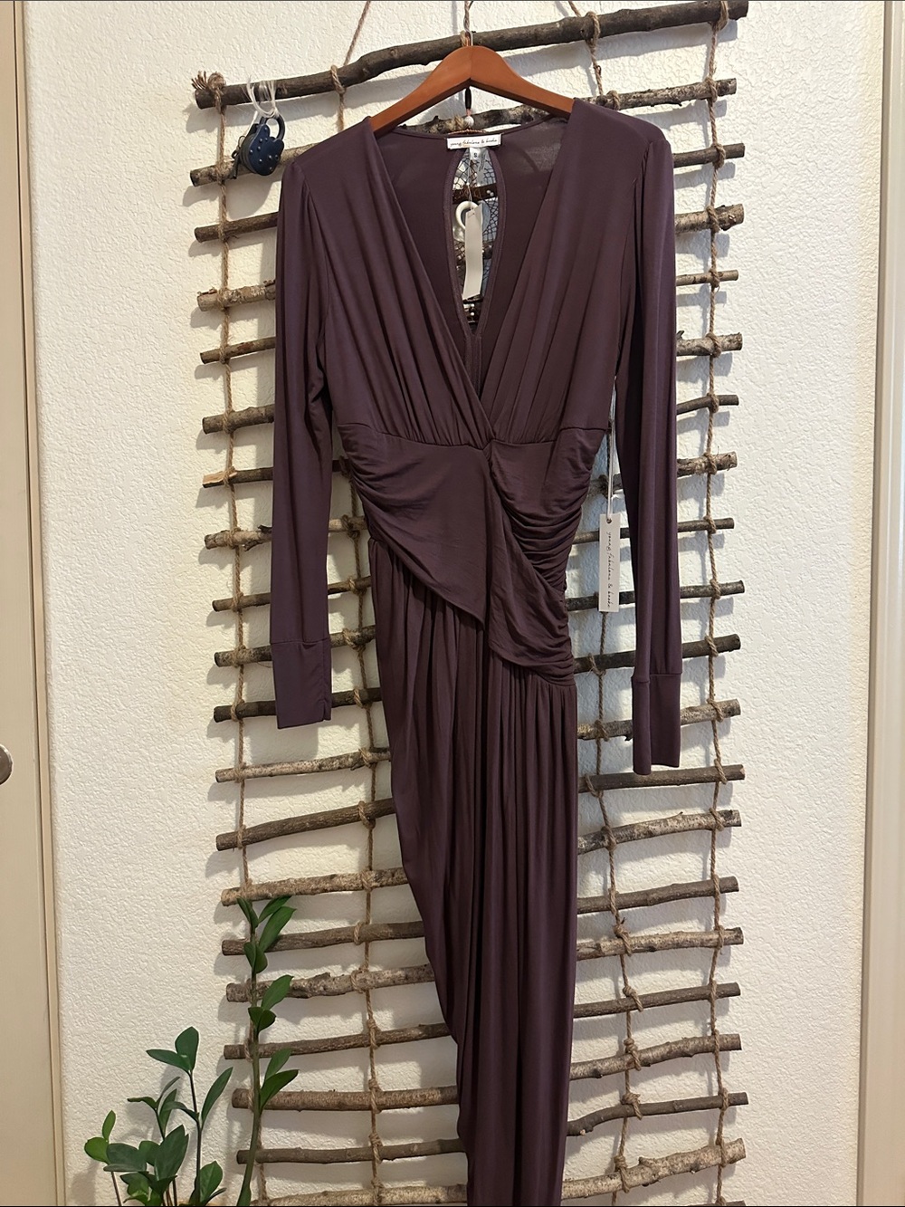 Young Fabulous & Broke Deep V Ruched Plum Long Sleeve Dress